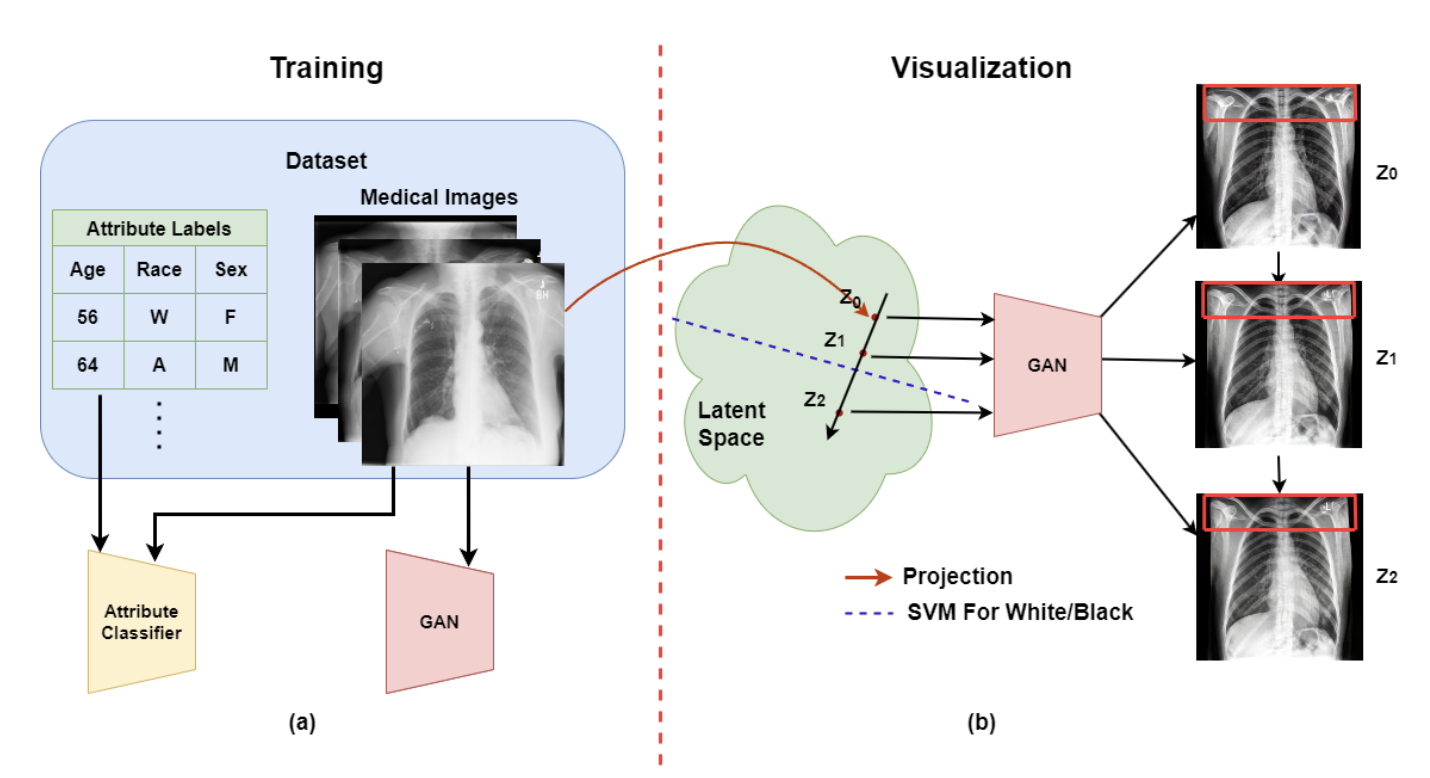 viz_xray.png